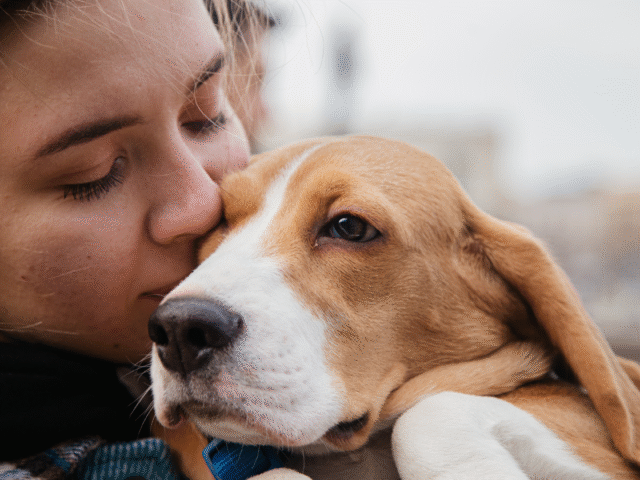 Doenças Gastrointestinais Mais Comuns em Pets e Seus Sinais Clínicos